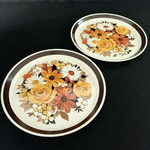 Set of 2 Vintage Mikasa Fayette 7909 StudioKraft Floral Dinner Plates Japan 1970